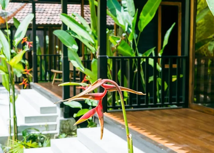 Onaya Bali - Adults Only